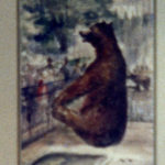 Bear in Stanley Park